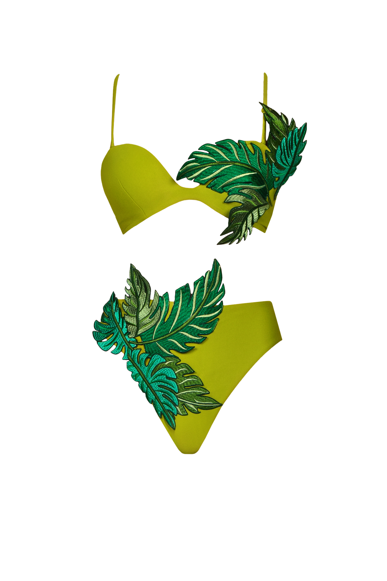 IVY BOTTOM