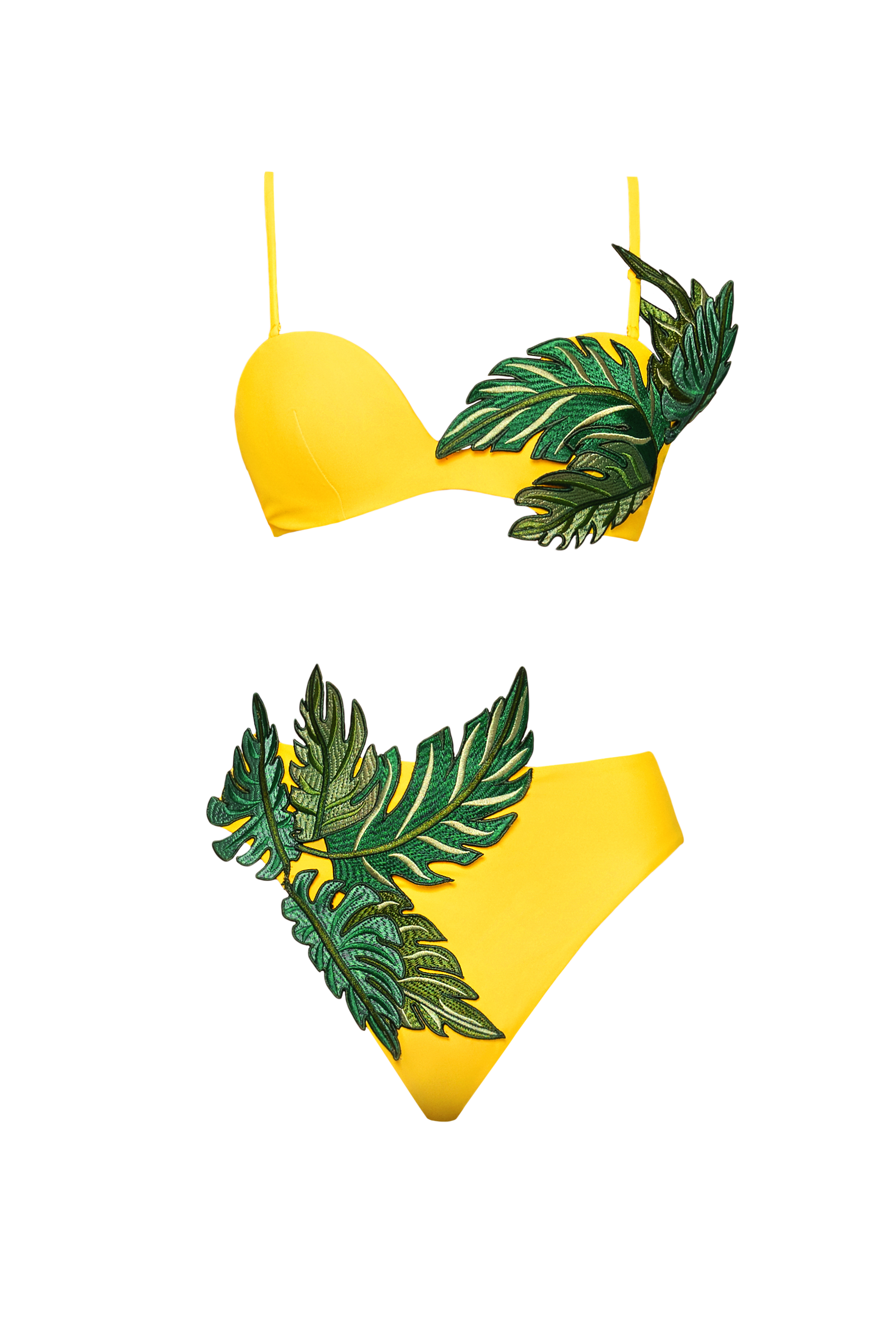 IVY TOP Zest